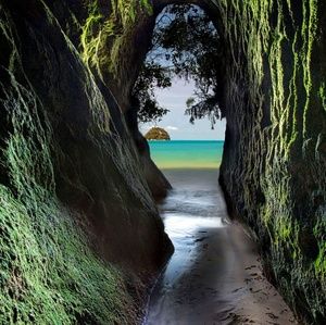 Meet your Posher, Autumn